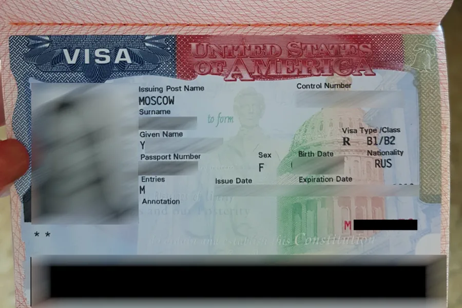 Результат: виза в США в Индонезии была оформлена успешно