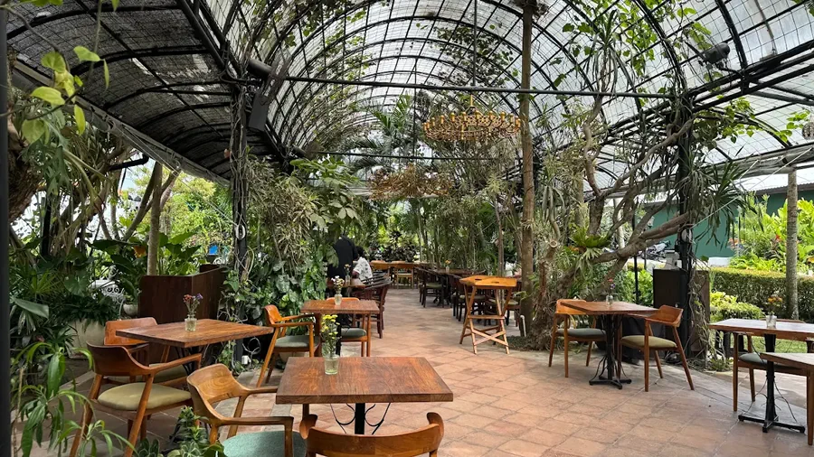 Uma Garden